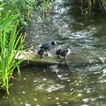 Martin By Interhome *