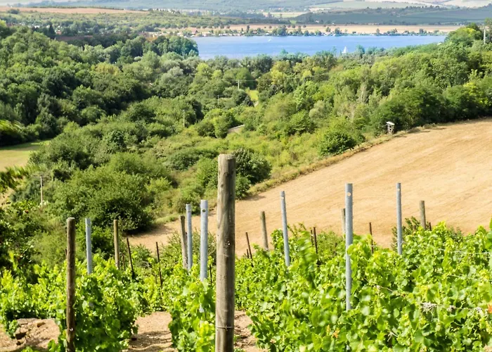 別荘 Martin By Interhome Seeburg